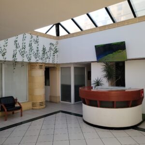 gallery grid image